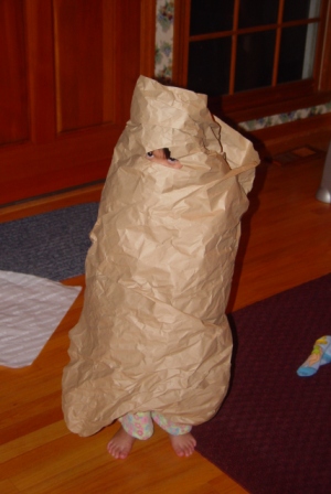 Kasen wrapped in brown paper